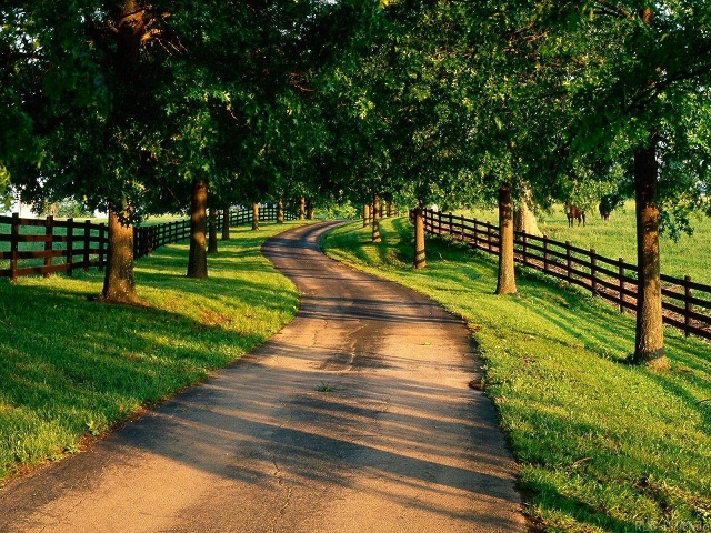 卡密自动发货的网站压力测试